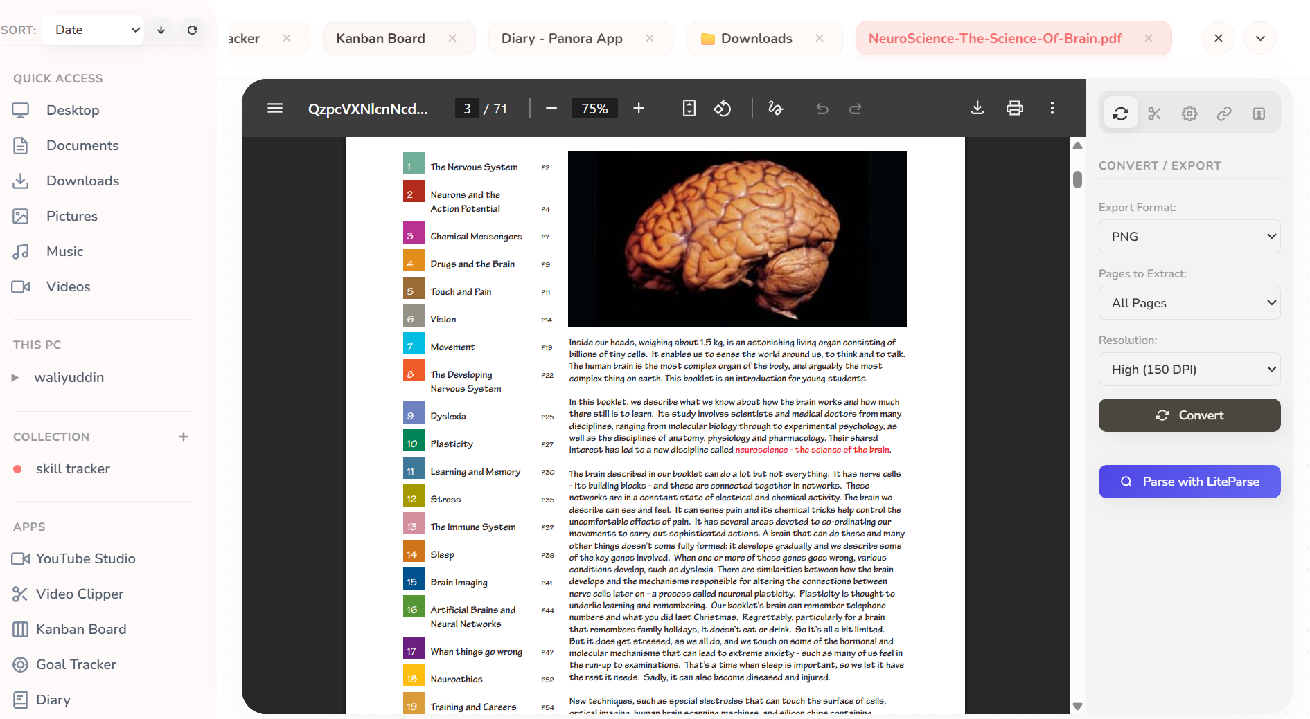 Brain NeuroScience PDF